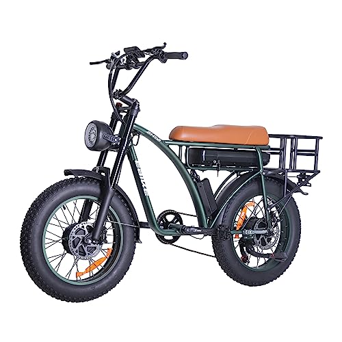 1CYCLE Electric Bikes 2000w Ebikes for Adults, Dual Motor Fat Tire Electric Mountain Bike